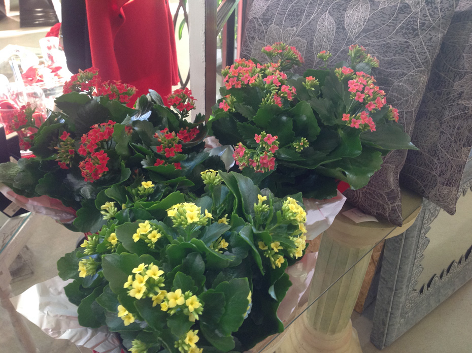 https://kellideefloral.ca/wp-content/uploads/2016/03/2015-01-30-16.48.03.jpg